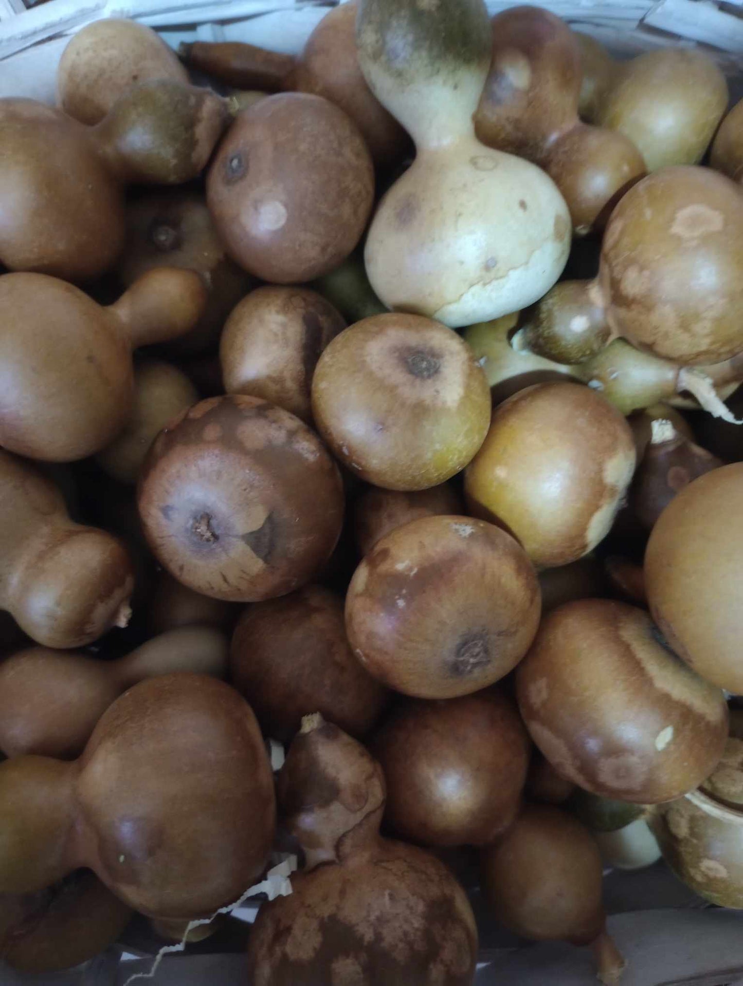 Кратунки за декорация